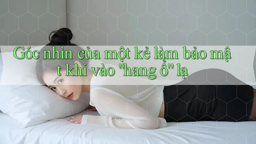 Góc nhìn của một kẻ làm bảo mật khi vào “hang ổ” lạ Góc nhìn của một kẻ làm bảo mật khi vào “hang ổ” lạ