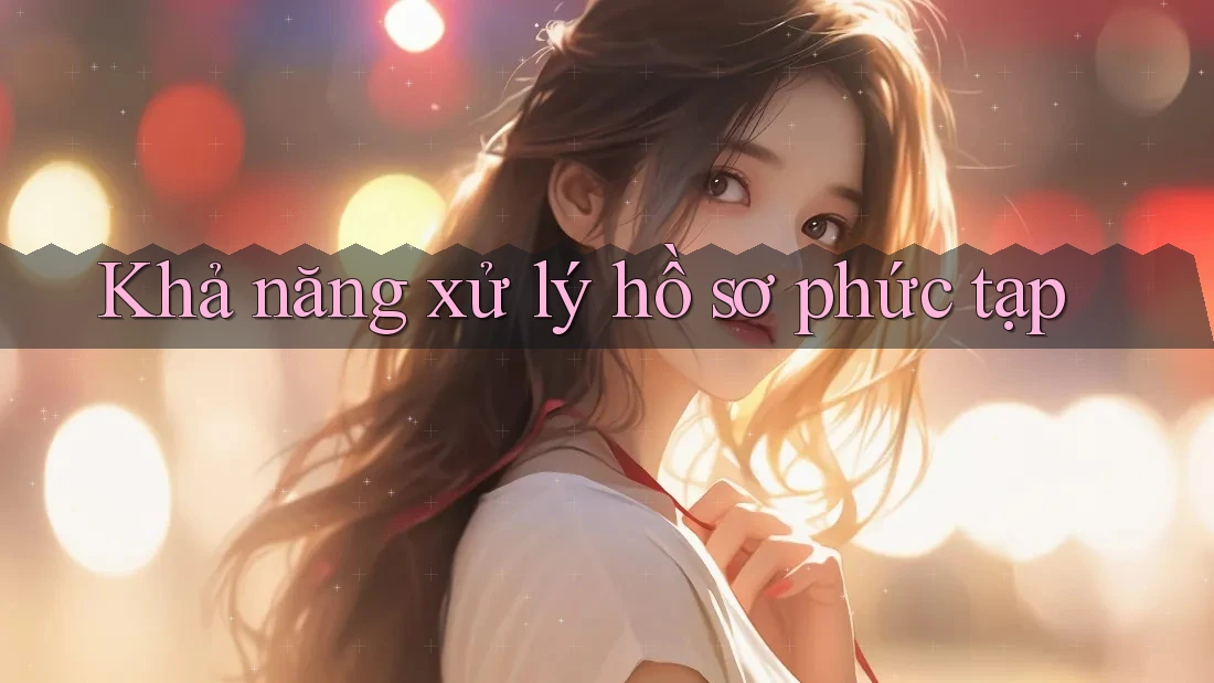 Khả năng xử lý hồ sơ phức tạp Khả năng xử lý hồ sơ phức tạp
