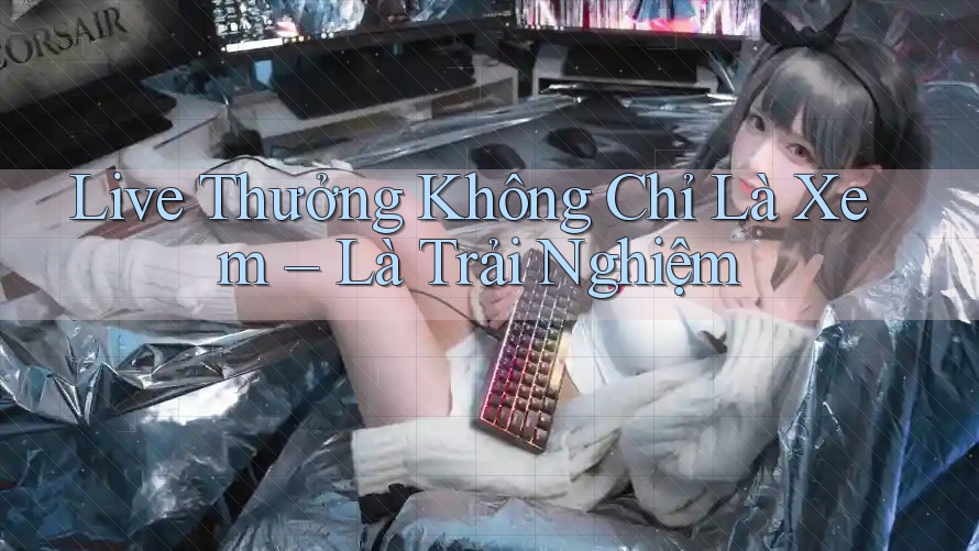 Live Thưởng Không Chỉ Là Xem – Là Trải Nghiệm Live Thưởng Không Chỉ Là Xem – Là Trải Nghiệm