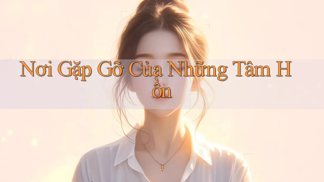 Nơi Gặp Gỡ Của Những Tâm Hồn