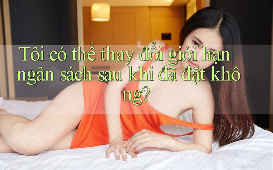 Tôi có thể thay đổi giới hạn ngân sách sau khi đã đặt không? Tôi có thể thay đổi giới hạn ngân sách sau khi đã đặt không?